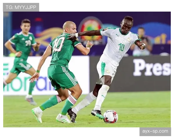 阿尔及利亚JSK俱乐部新赛季蓄势待发，青年才俊齐聚剑指更高荣誉